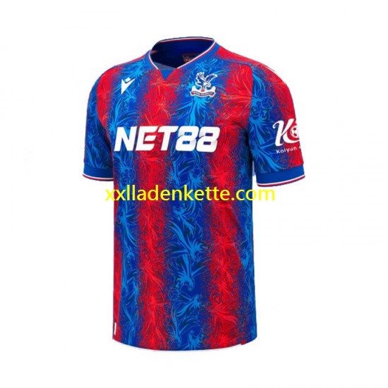 Fußballtrikot Crystal Palace Herren Heim 2024-2025 Kurzarm