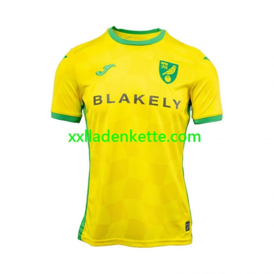 Fußballtrikot Norwich City Herren Heim 2024-2025 Kurzarm