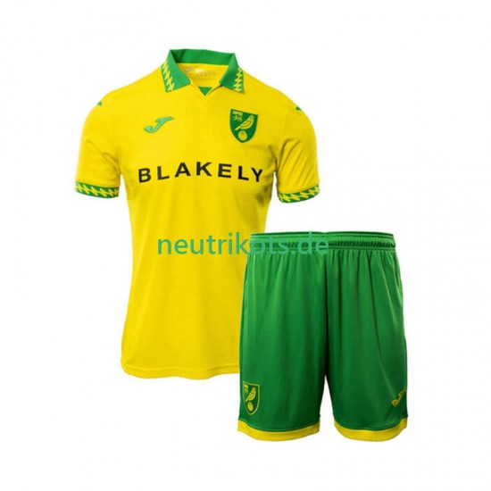 Fußballtrikot Norwich City Kinder Heim 2025-2026 Kurzarm