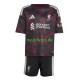 Fußballtrikot Liverpool Kinder Ausweich 2026-2027 Kurzarm