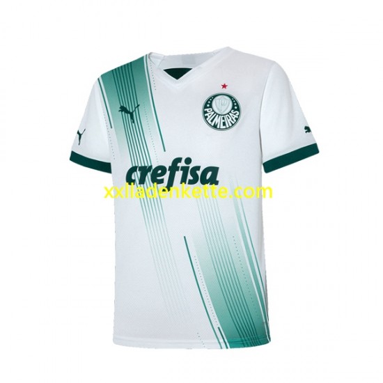 Fußballtrikot Palmeiras Herren Auswärts 2023-2024 Kurzarm