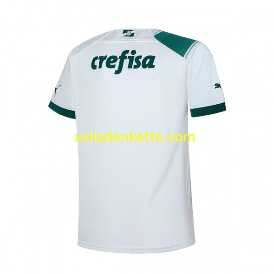 Fußballtrikot Palmeiras Herren Auswärts 2023-2024 Kurzarm