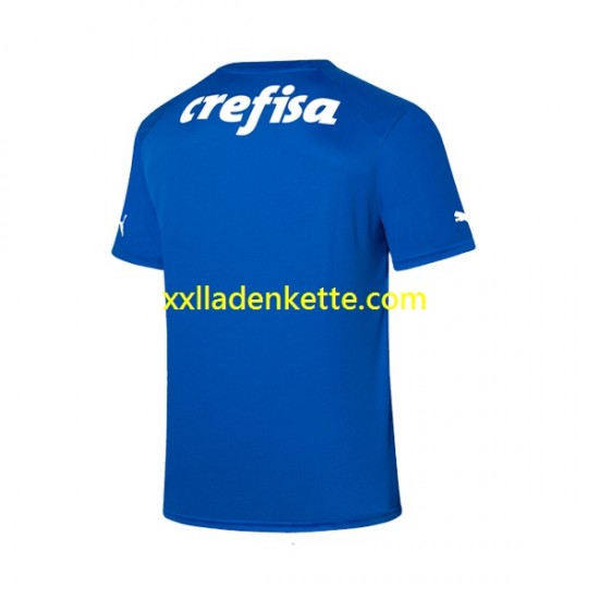 Fußballtrikot Palmeiras Torwart Herren Heim 2023-2024 Kurzarm