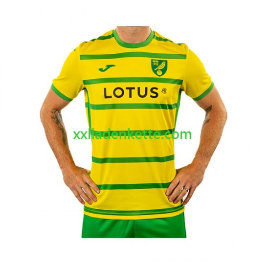 Fußballtrikot Norwich City Herren Heim 2023-2024 Kurzarm