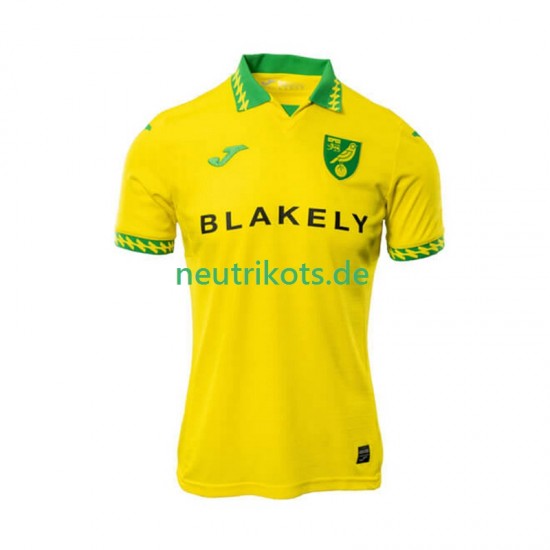 Fußballtrikot Norwich City Herren Heim 2025-2026 Kurzarm