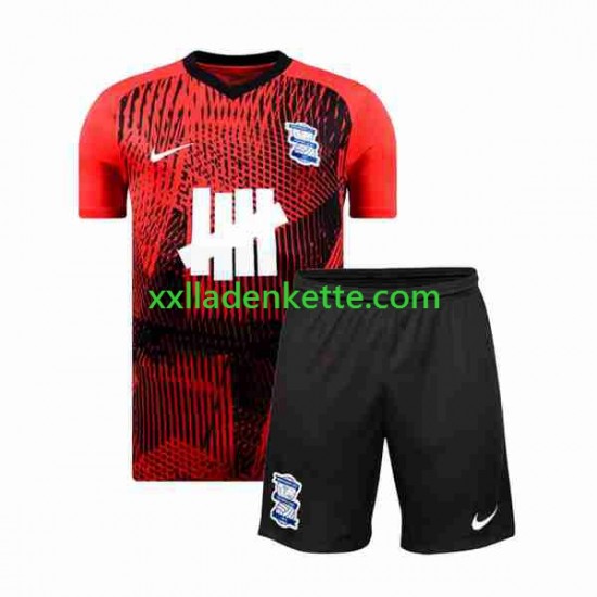 Fußballtrikot Birmingham City Kinder Auswärts 2023-2024 Kurzarm