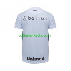Fußballtrikot Gremio Herren Auswärts 2023-2024 Kurzarm