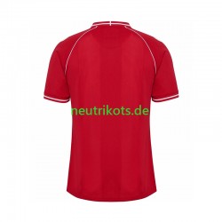 Fußballtrikot Dänemark Herren Heim 2026 Kurzarm