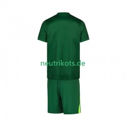 Fußballtrikot VfL Wolfsburg Kinder Heim 2025-2026 Kurzarm