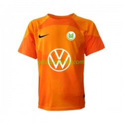 Fußballtrikot VfL Wolfsburg Torwart Herren Ausweich 2022-2023 Kurzarm