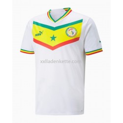 Fußballtrikot Senegal Heim 2022 Kurzarm