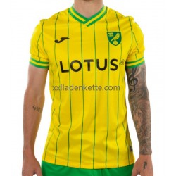 Fußballtrikot Norwich City Herren Heim 2022-2023 Kurzarm
