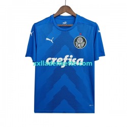 Fußballtrikot Palmeiras Torwart Herren Auswärts 2022-2023 Kurzarm