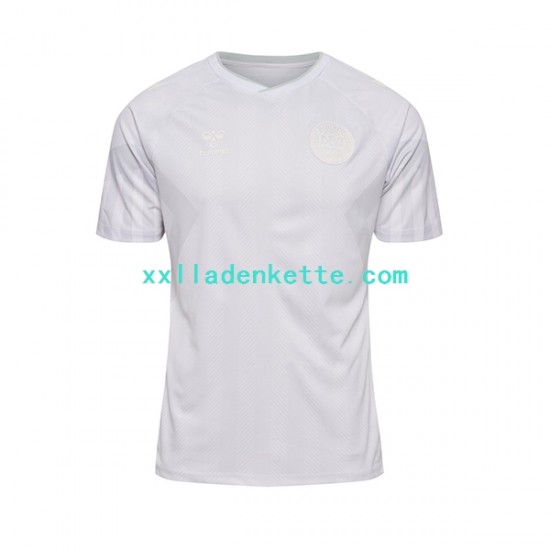 Fußballtrikot Dänemark Herren Auswärts World Cup 2022 Kurzarm