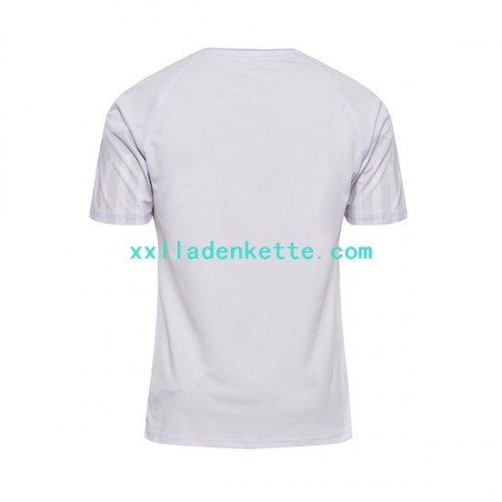 Fußballtrikot Dänemark Herren Auswärts World Cup 2022 Kurzarm