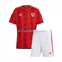 Fußballtrikot Wales Kinder Heim World Cup 2022 Kurzarm